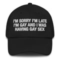 I'm Sorry I'm Late I'm Gay And I Was Having Gay Sex Hat.