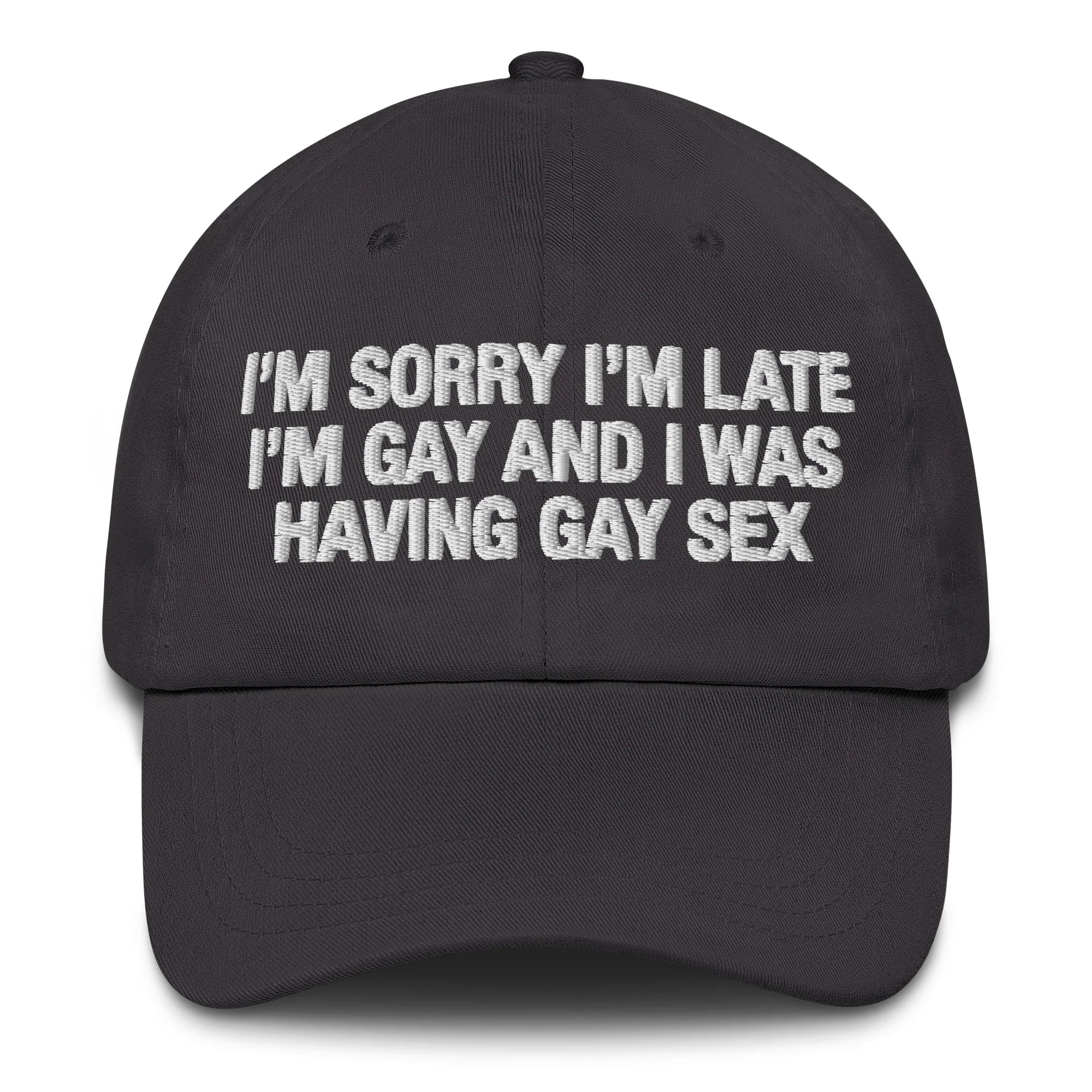 I'm Sorry I'm Late I'm Gay And I Was Having Gay Sex Hat.