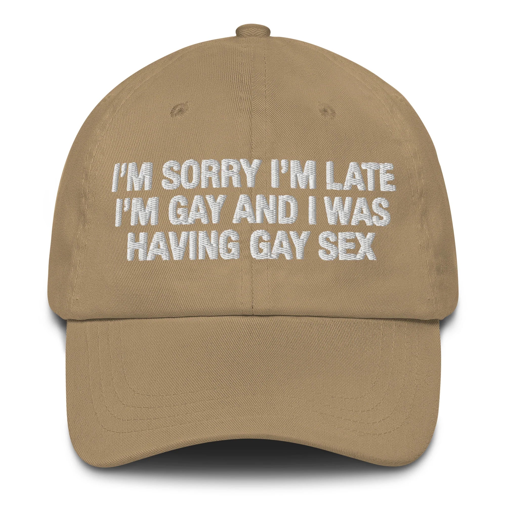 I'm Sorry I'm Late I'm Gay And I Was Having Gay Sex Hat.