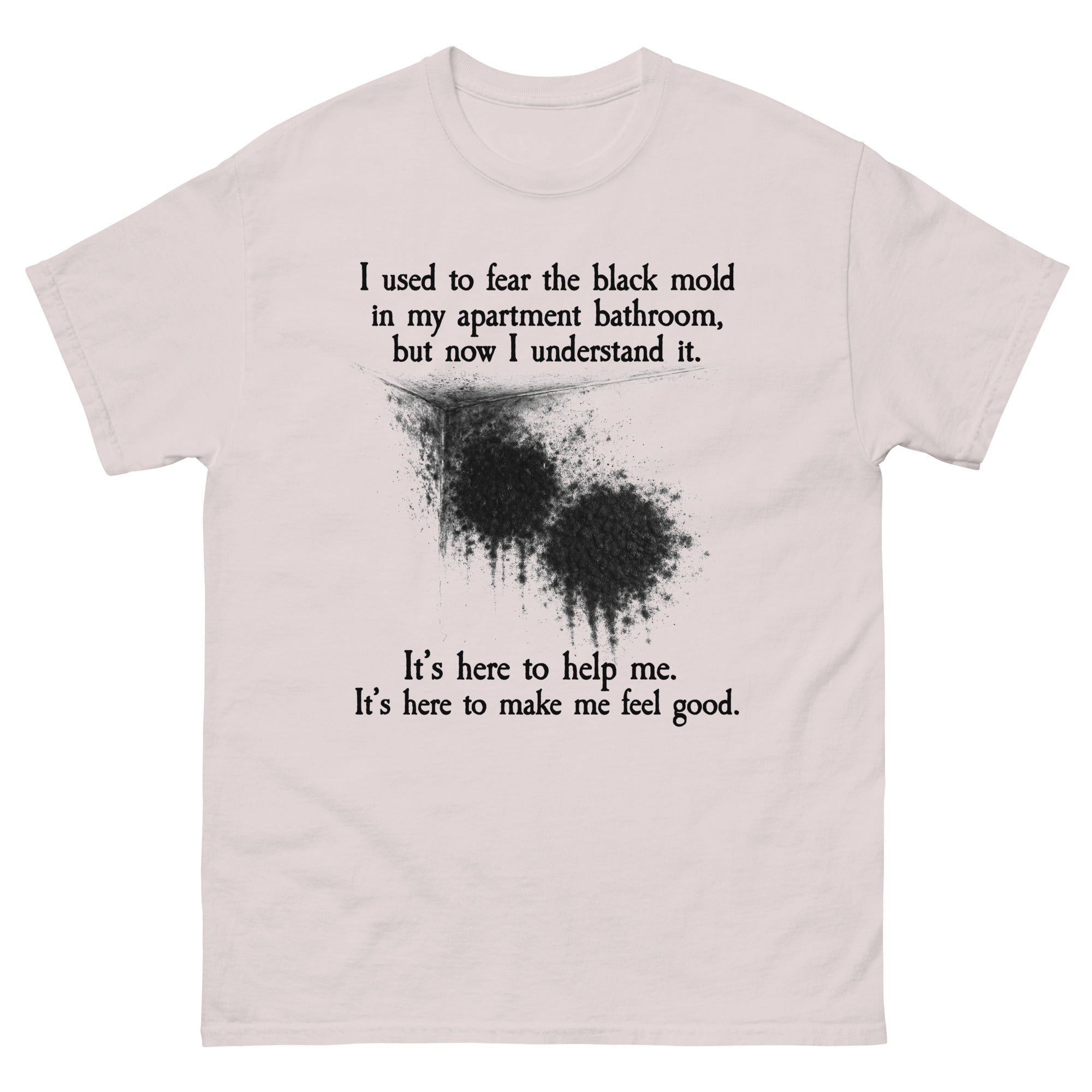 I Used To Fear The Black Mold In My Apartment, But Now I Understand It.